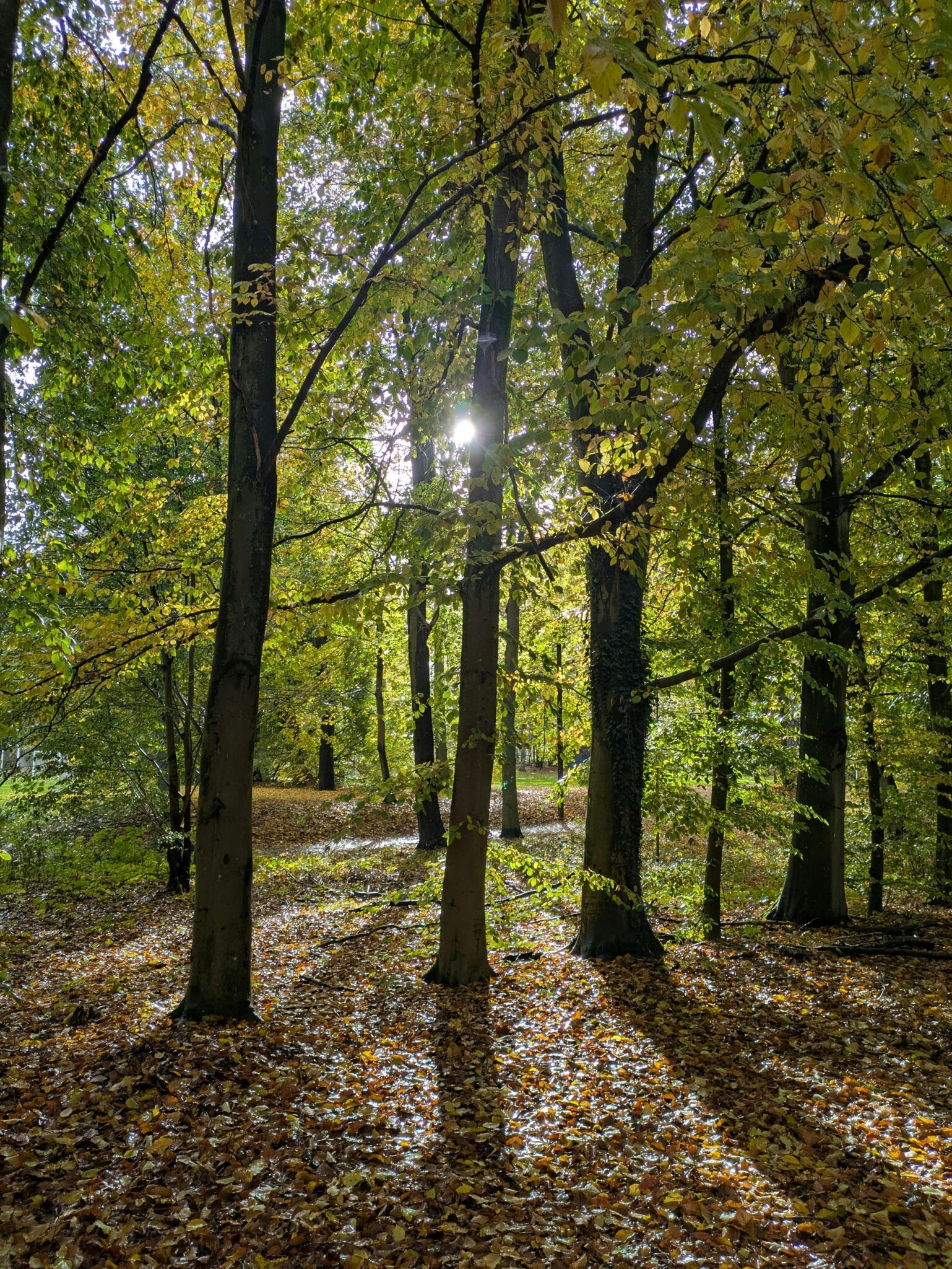 Retrouver la sérénité